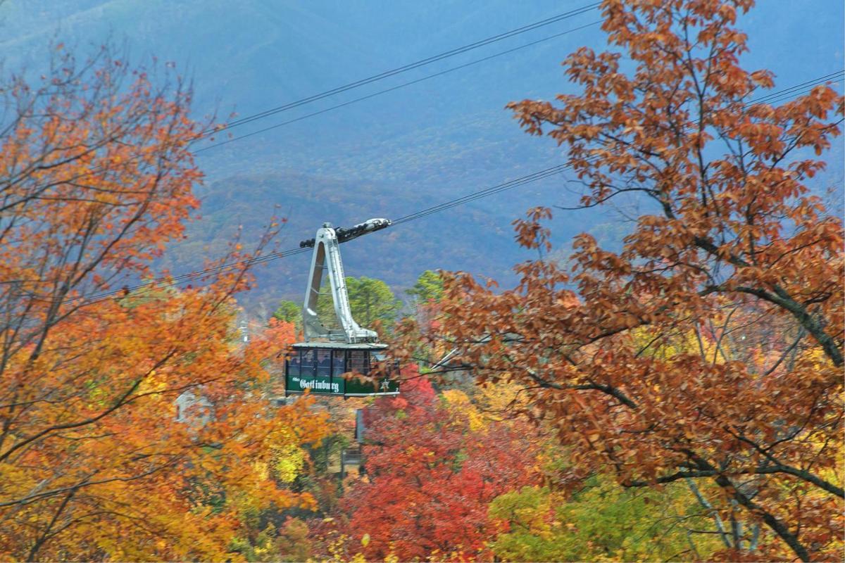Knotty & Nice Holiday Home Gatlinburg Εξωτερικό φωτογραφία